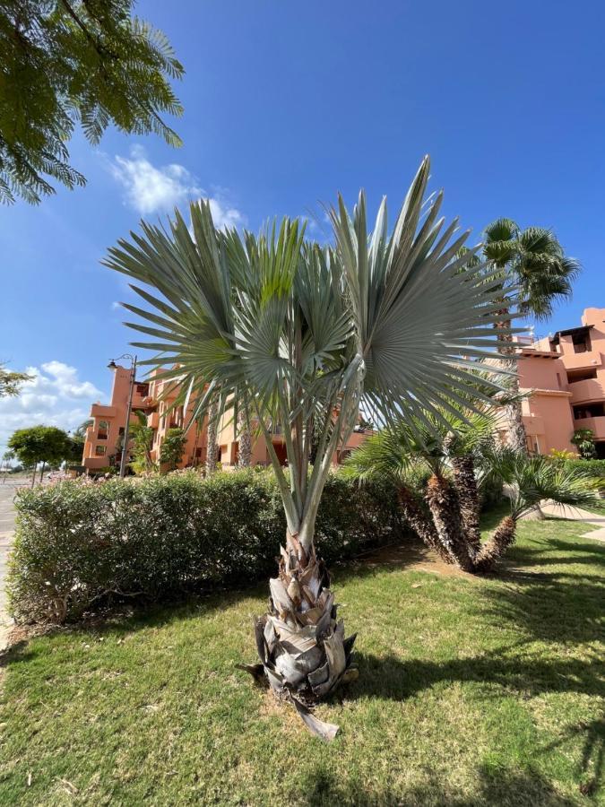 Apartmán Spirit Of Mar Menor Torre-Pacheco Exteriér fotografie